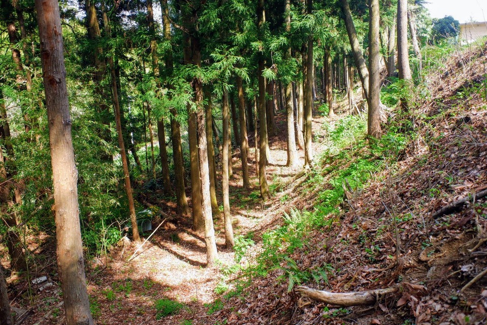 田地ケ岡館（福島県二本松市）の詳細情報・口コミ ニッポン城めぐり