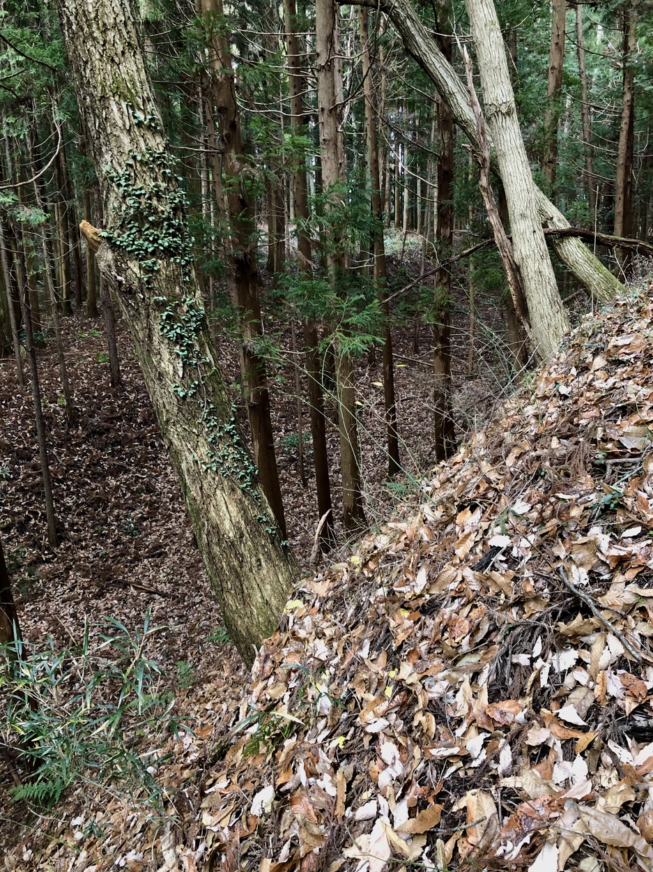 小野城（福島県田村郡）の詳細情報・口コミ ニッポン城めぐり