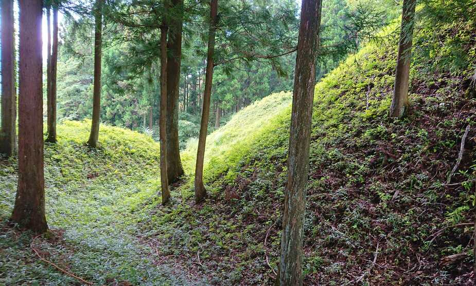吾妻郡城塁史 岩櫃城 - Wikipedia