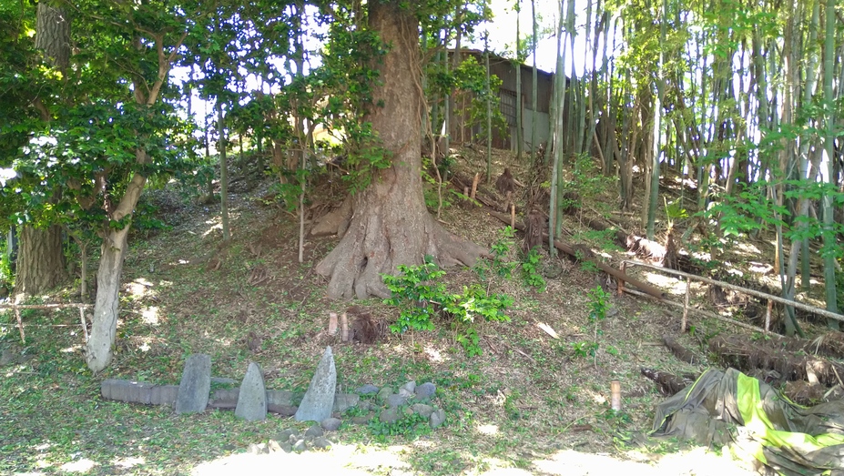 本庄城（埼玉県本庄市）の詳細情報・口コミ | ニッポン城めぐり