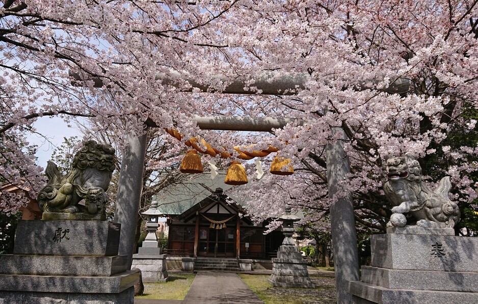 豊田城（富山県富山市）の詳細情報・口コミ ニッポン城めぐり