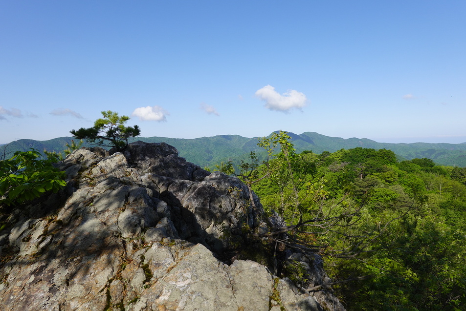 杣山城（福井県南条郡）の詳細情報・口コミ | ニッポン城めぐり