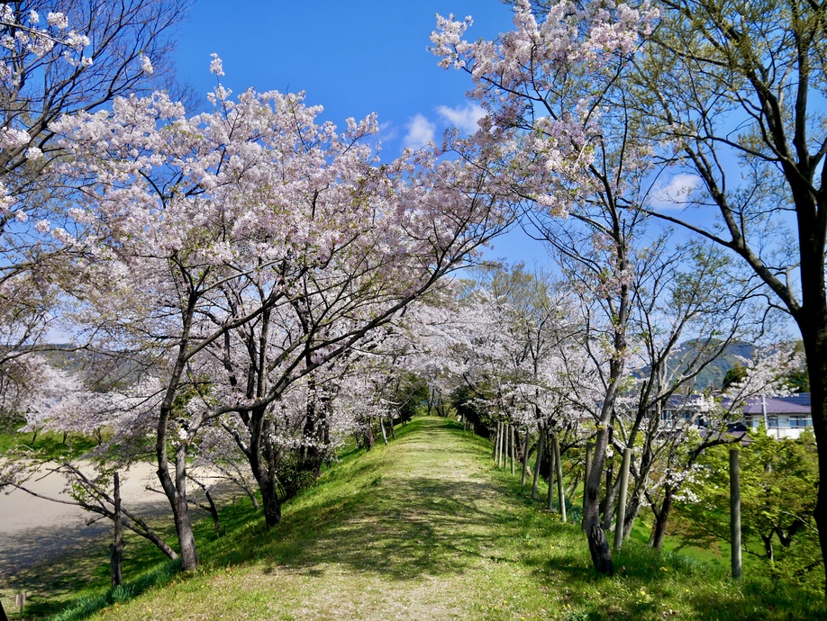 黒野城 岐阜県岐阜市 の詳細情報 周辺観光 ニッポン城めぐり 位置情報アプリで楽しむ無料のお城スタンプラリー