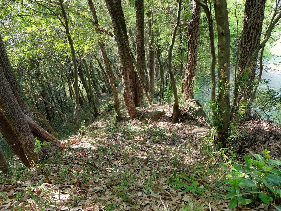 堂洞城（岐阜県美濃加茂市）の詳細情報・口コミ | ニッポン城めぐり