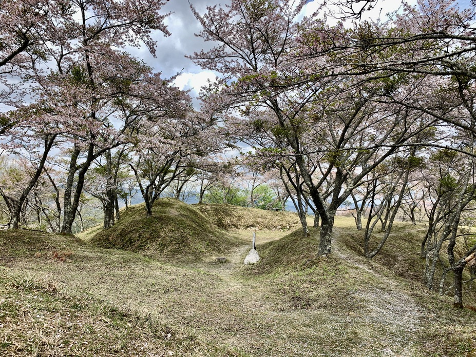 小川城（滋賀県甲賀市）の詳細情報・口コミ | ニッポン城めぐり