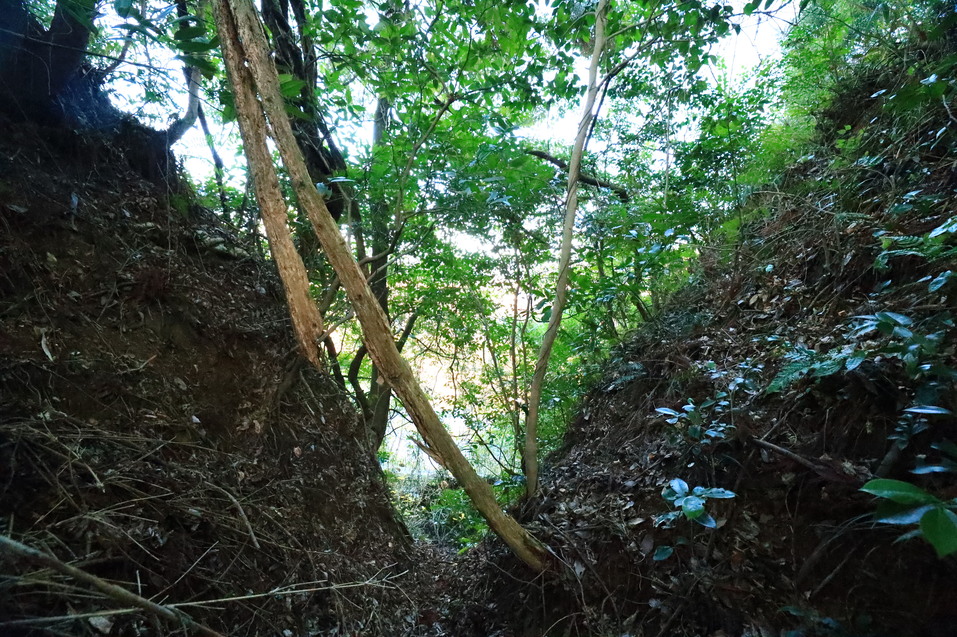 法勝寺城（鳥取県西伯郡）の詳細情報・口コミ ニッポン城めぐり