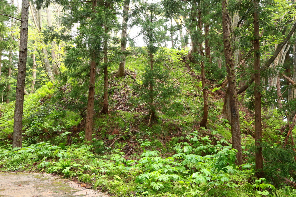 湯沢城