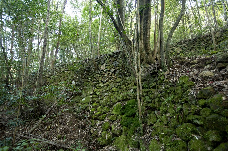 片岡城（高知県高岡郡）の詳細情報・口コミ ニッポン城めぐり
