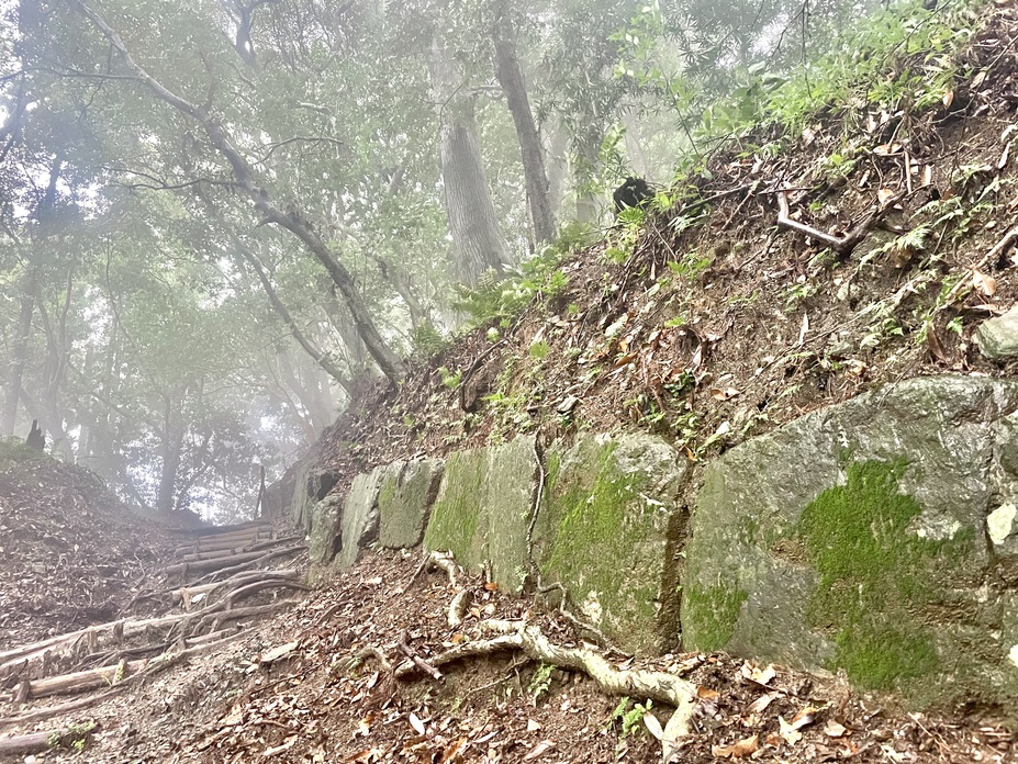 高良山神籠石（福岡県久留米市）の詳細情報・周辺観光｜ニッポン城 