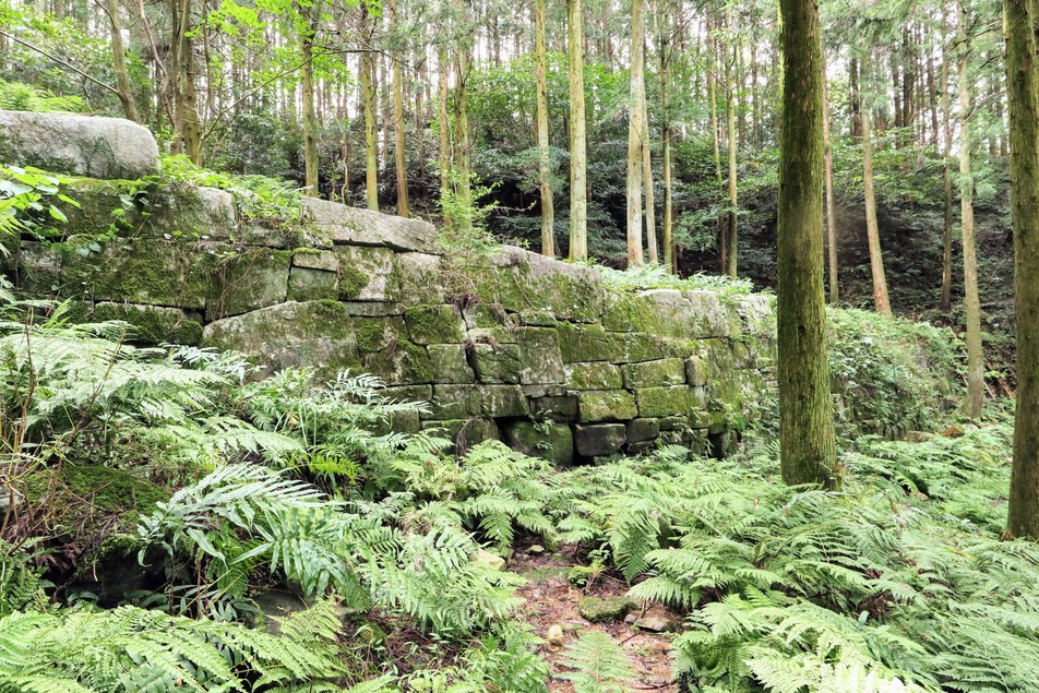 阿志岐山城（あしきさんじょう）