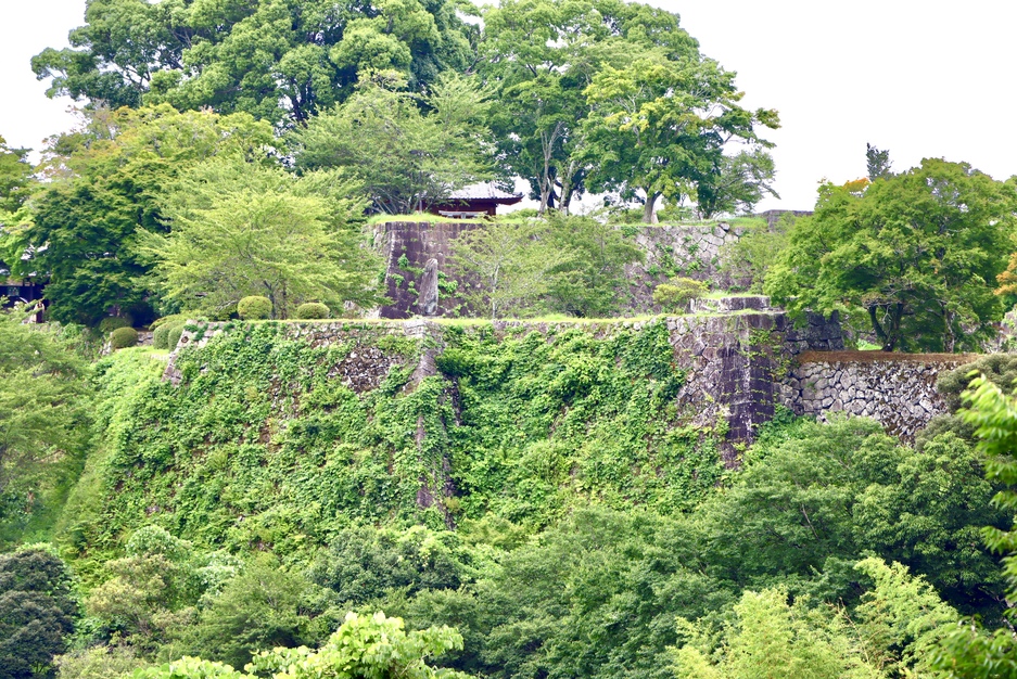 岡城（大分県竹田市）の詳細情報・口コミ | ニッポン城めぐり