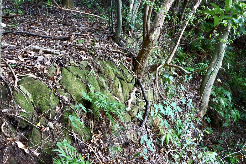 大智庵城（長崎県佐世保市）の詳細情報・口コミ ニッポン城めぐり