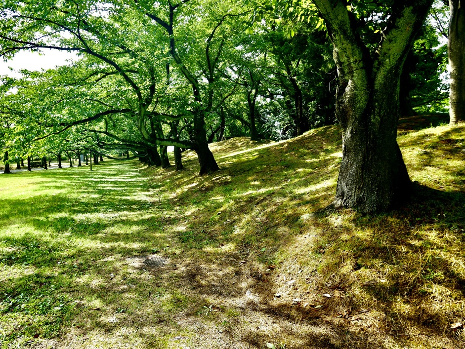 鶴ヶ岡城 山形県鶴岡市 の詳細情報 周辺観光 ニッポン城めぐり 位置情報アプリで楽しむ無料のお城スタンプラリー