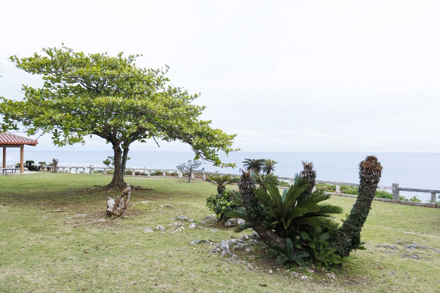 具志頭城（沖縄県島尻郡）の詳細情報・口コミ | ニッポン城めぐり